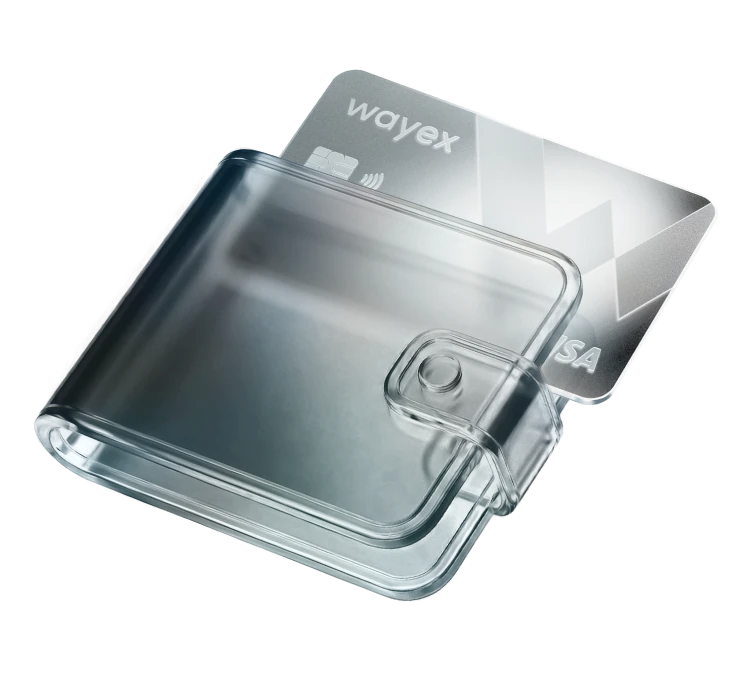 Wayex wallet and Visa card