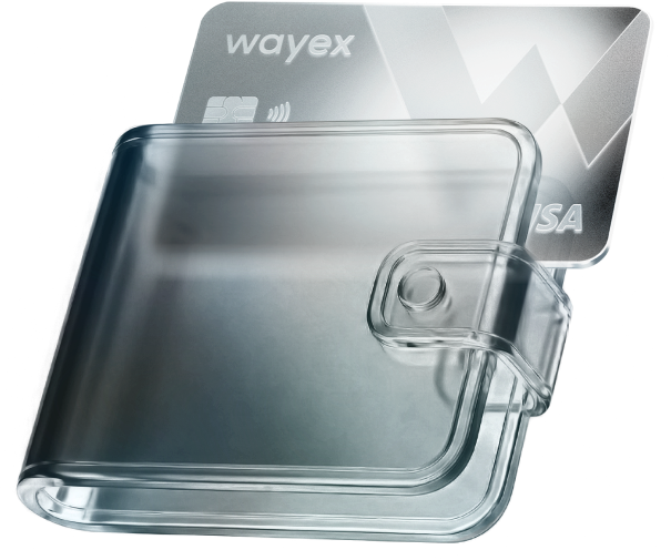 Wayex App Interface